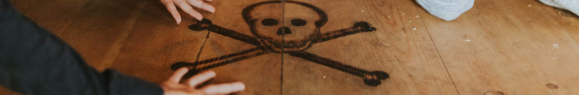 Pirate-Ship-Parties-Centre-Website-Banners.jpg